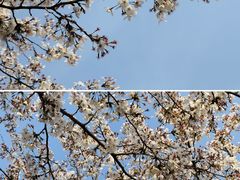 -济南国际园博园