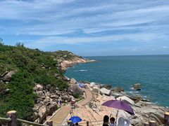-广东惠东海龟国家级自然保护区