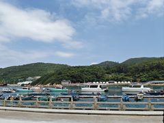 -东澳岛