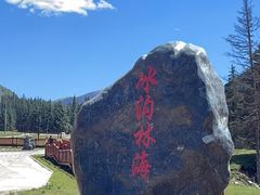 -冰沟林海