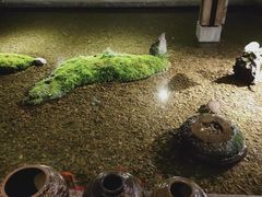 -几荷·恰似故人来(秀水广场店)