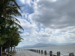 -深圳湾公园(南山区)
