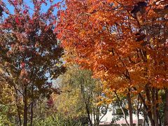 -回龙观体育文化公园