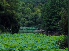 -龙头寺公园