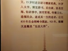 -西安乐游原