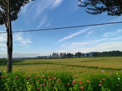 -凤凰山国家森林公园