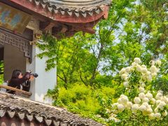 -惠山古镇·寄畅园