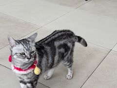 -怪兽屋·羊驼·猫咖·狗咖(俊华广场店)