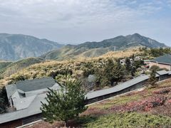 -江南天池