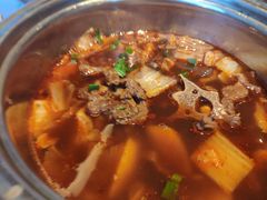 -嘉定凯悦·咖啡厅