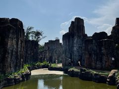 -海南热带野生动植物园