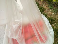 -南京邮电大学-第2食堂