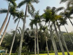 -中国科学院西双版纳热带植物园