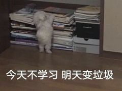 -千秋未来日韩语(天府五街校区)