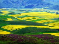 -青海湖国家重点风景名胜区