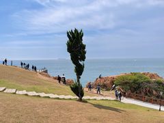 -小麦岛公园