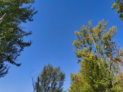 -野鸭湖国家湿地公园