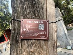 -南阳卧龙岗武侯祠