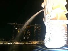 -鱼尾狮公园