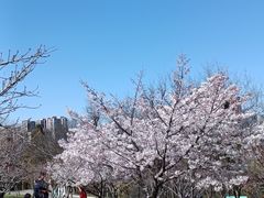 -大连植物园