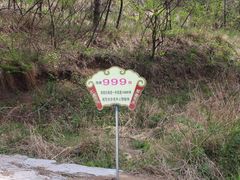 -鲁山国家森林公园