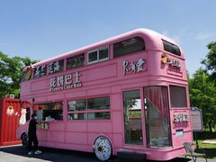 -荷兰花海