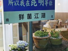 -鲜菌江湖正宗野生菌火锅