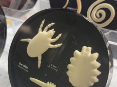 -半岛宠物医院24小时(白果林店)