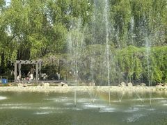 -莲湖公园