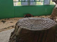 -海合安武汉极地海洋公园