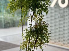 -% Arabica阿拉比卡咖啡(罗湖万象城店)