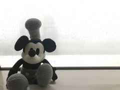 -上海柏悦酒店
