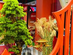 -禧鳳記·猪肚鸡火锅(玖洲道店)