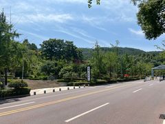 -铁山坪森林公园