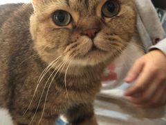 -万小咖.猫咖(中山路天虹店)