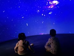 -深海中餐厅(国家海洋博物馆店)
