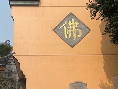 -鸡鸣赐茶(鸡鸣寺路店)