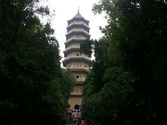 -灵谷景区