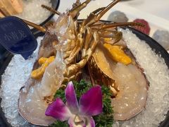 -海月轩海鲜豆捞(紫金塔店)