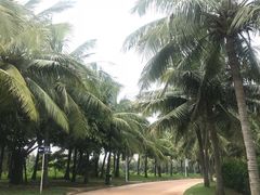 -白沙门生态公园