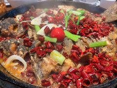 -老板恋上鱼(恒隆广场店)