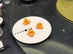 -丁老爷子苏香圆