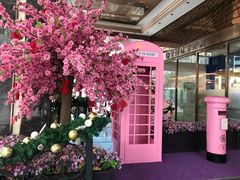 -丰鲤楼•闽南茶楼(仟禧汇店)