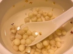 -松鹤楼(狮山永利广场店)