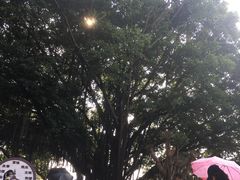 -船政文化景区-罗星塔公园