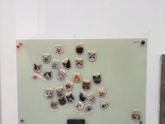 -四月宠物医院·猫专科·心脏专科·内科(转塘店)