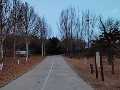 -北京西山国家森林公园