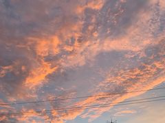 -新桥驾校(总校)