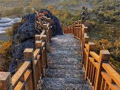 -南宁花花大世界景区