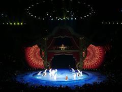 -珠海横琴长隆《卡卡虎奇遇记》